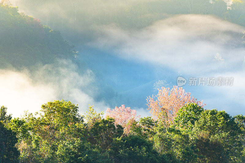 在Doi angkhang清迈自然景观风景秀丽的日出在泰国北部